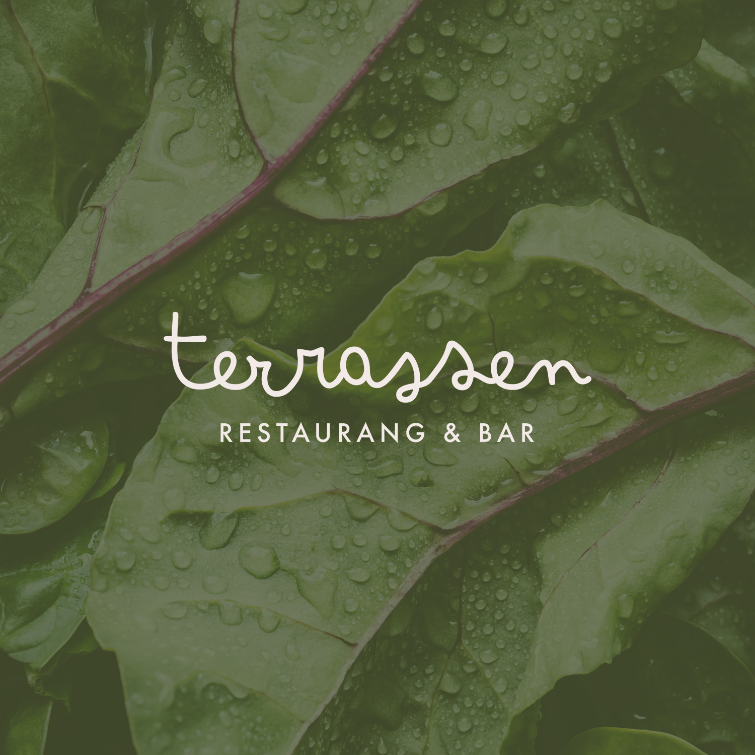 Terrassen Portfolio karusell